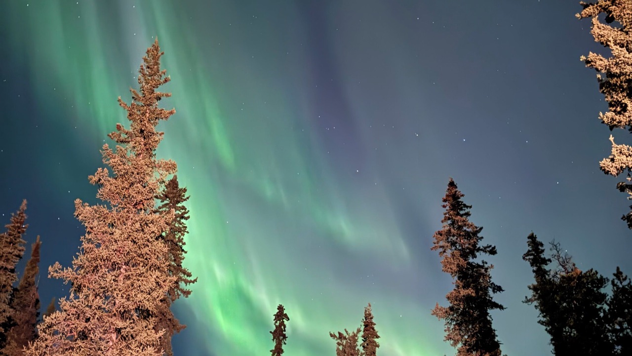 Photo of Others in Whitehorse