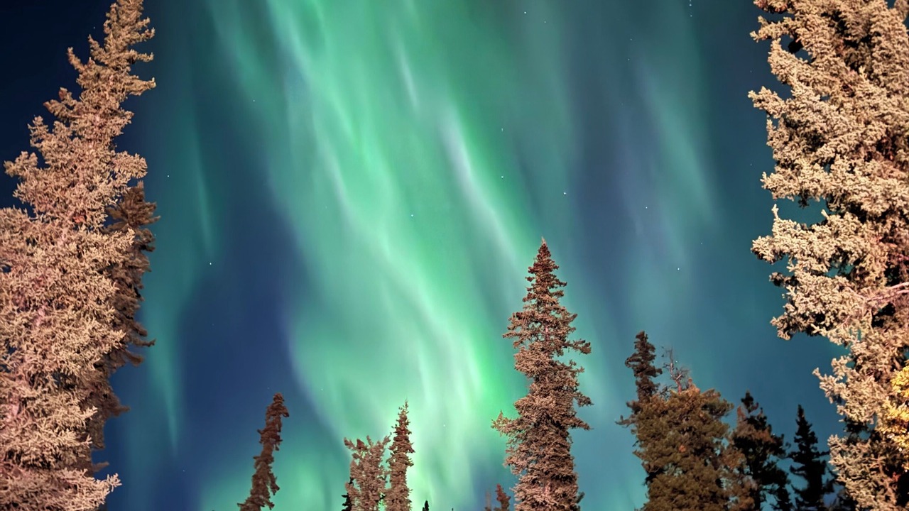 Photo of Others in Whitehorse