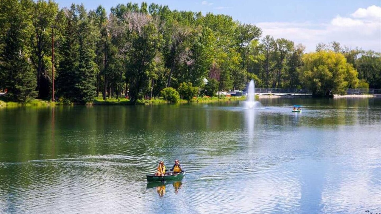 Photo of Others in Northwest Calgary