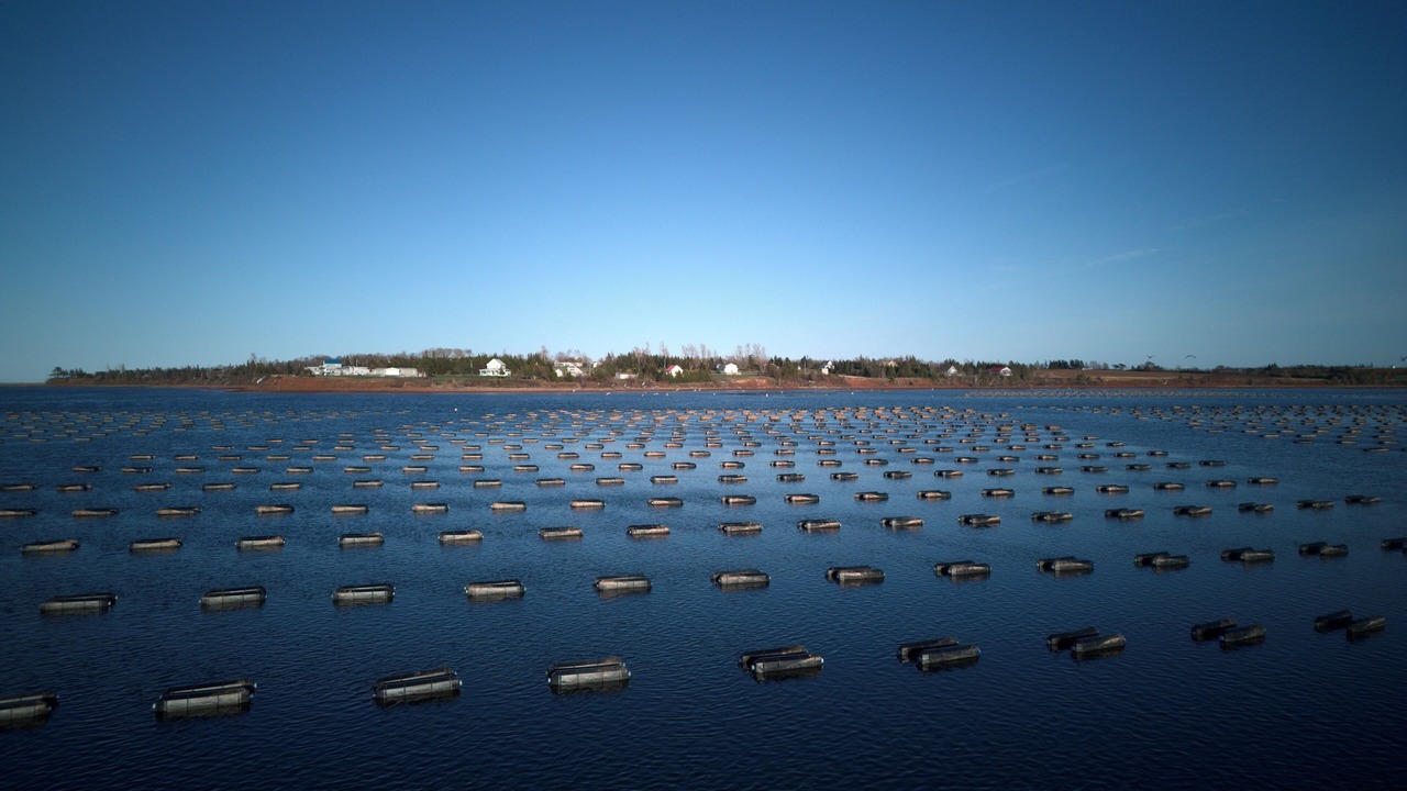 Photo of Others in North Rustico