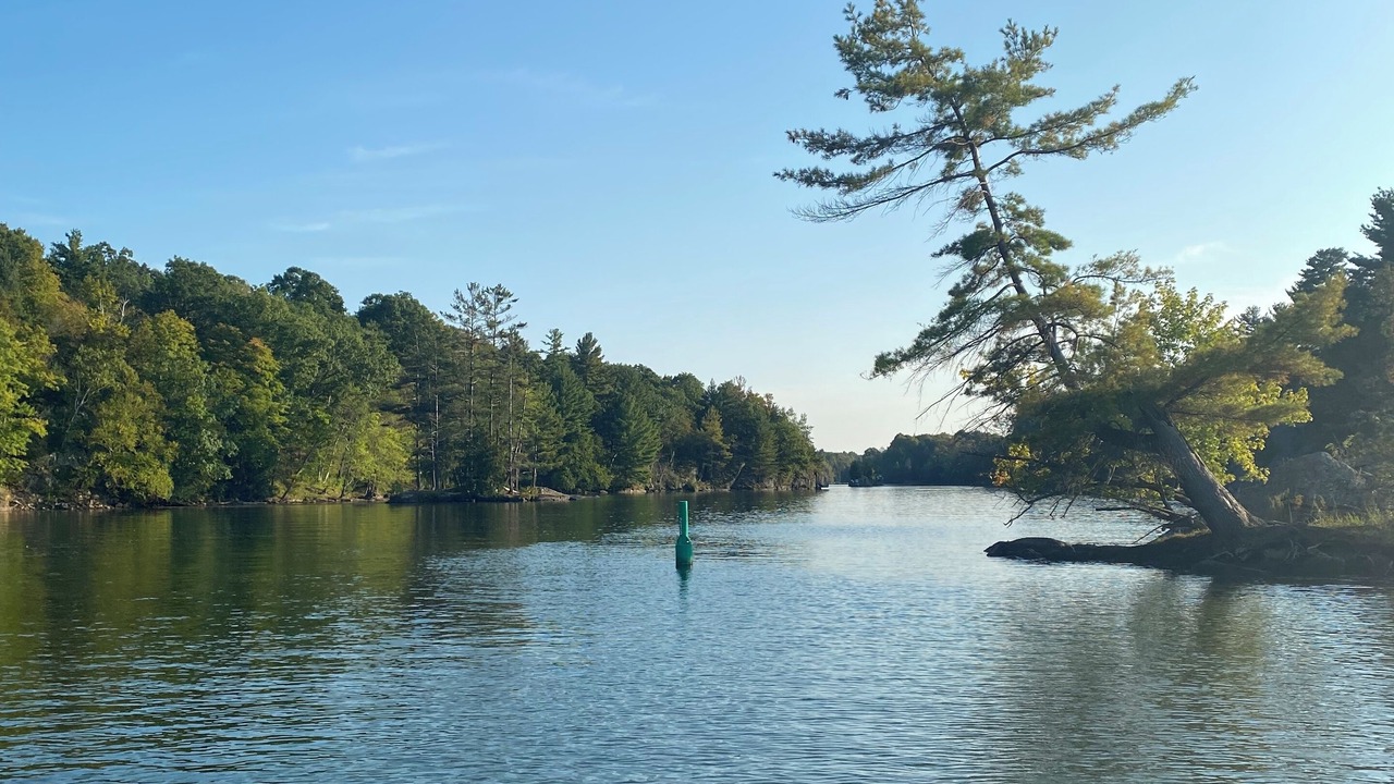 Photo of Others in Frontenac