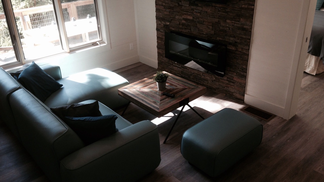 Photo of Livingroom in Lansdowne