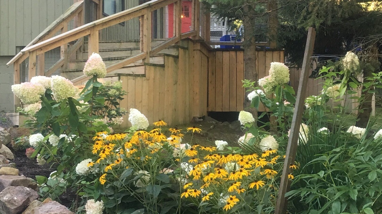 Photo of Outdoor in Lansdowne