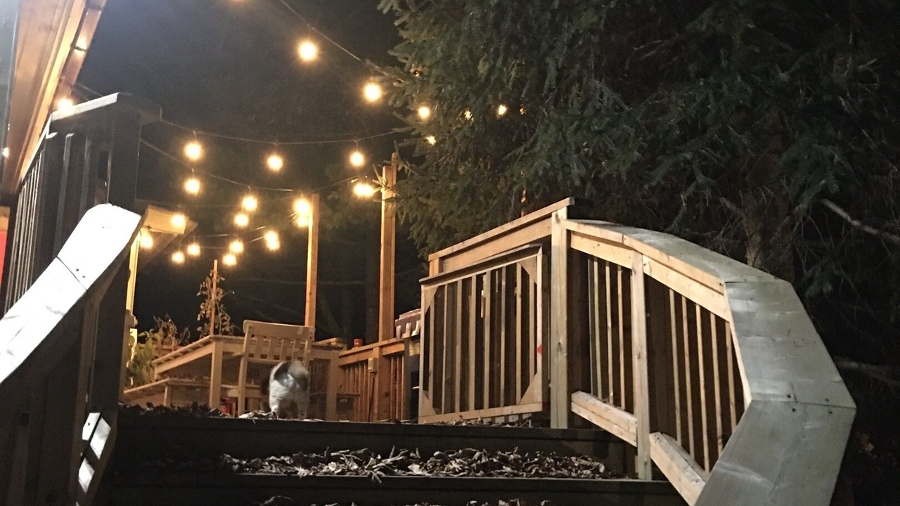Photo of Outdoor in Lansdowne