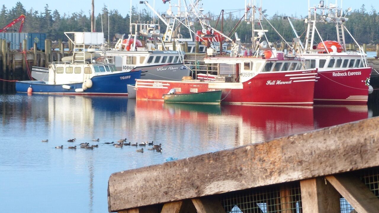 Photo of Others in Shag Harbour