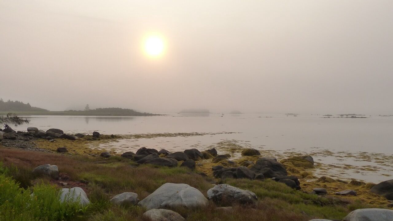 Photo of Others in Shag Harbour
