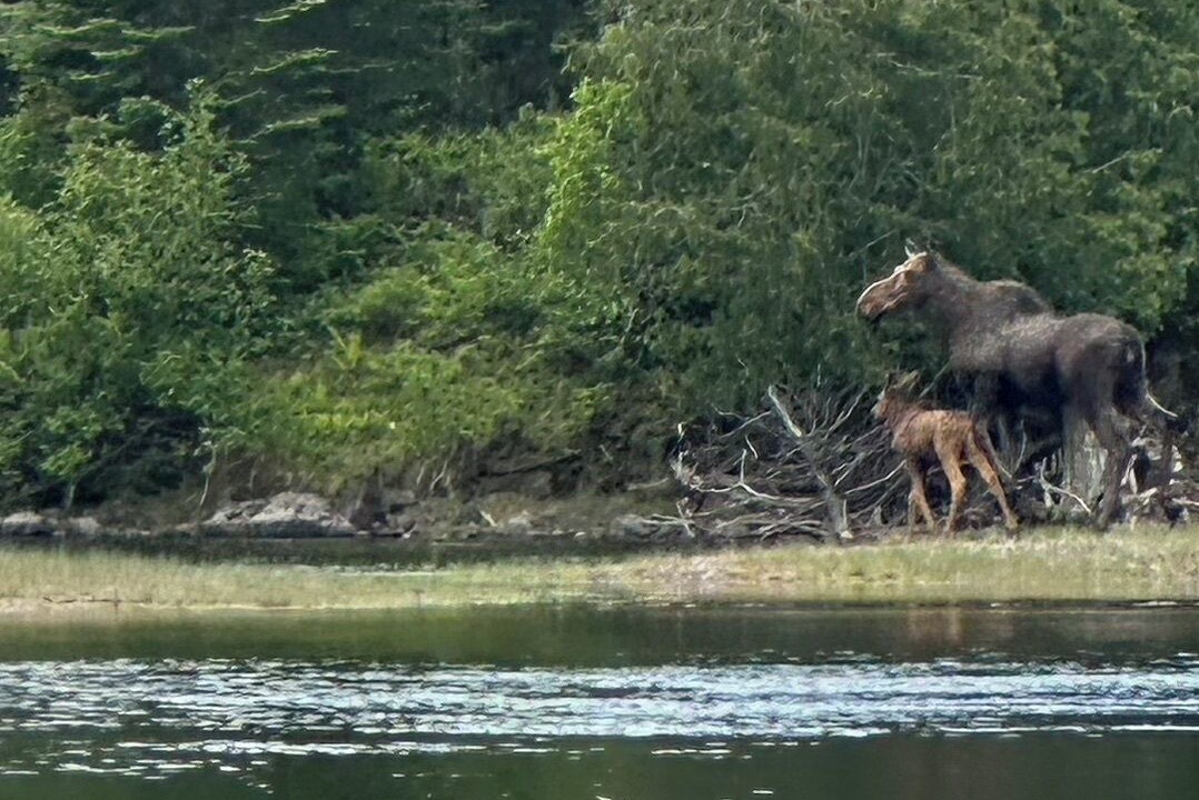 Photo of Others in Crystal Falls