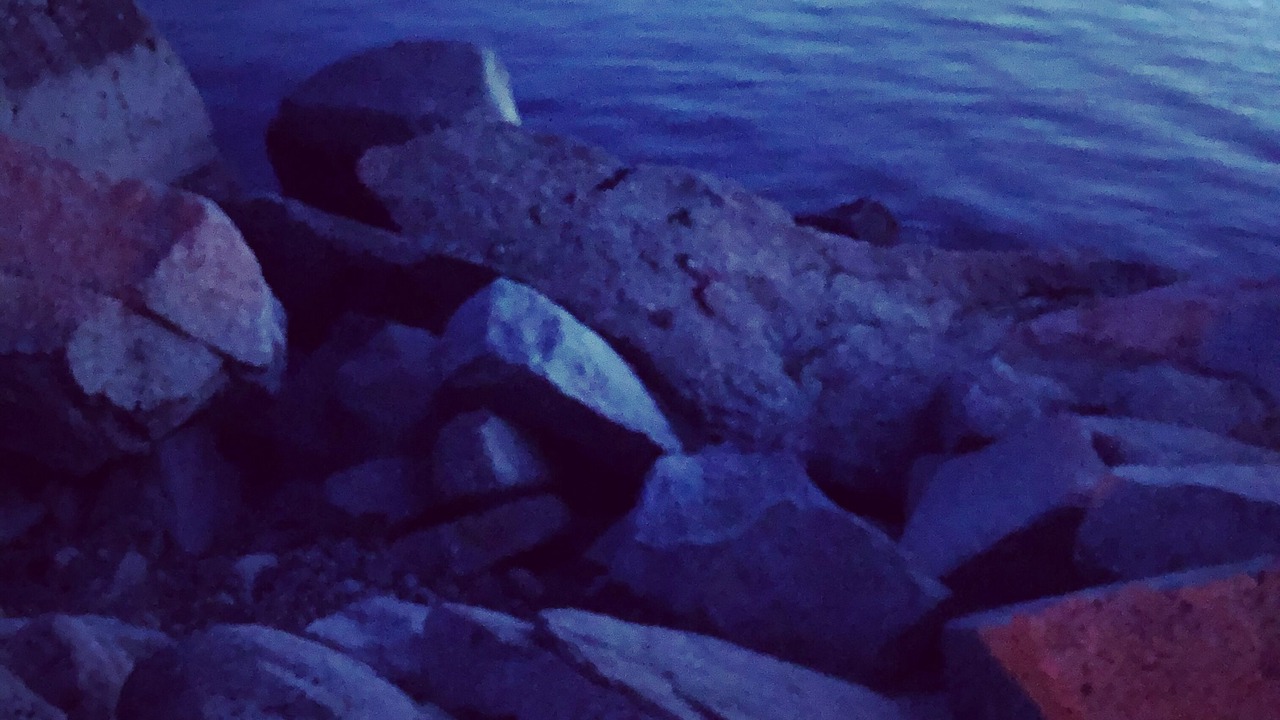 Photo of Others in Vernon
