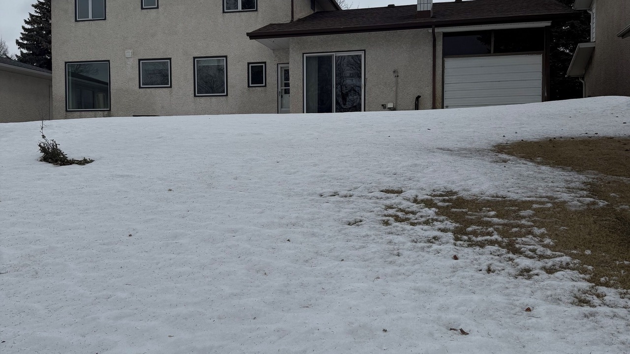 Photo of Outdoor in Birds Hill