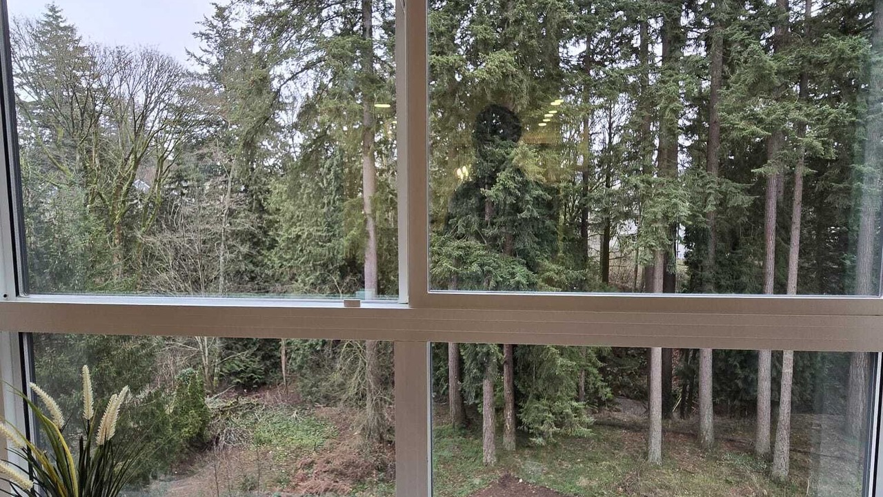 Photo of Others in Surrey
