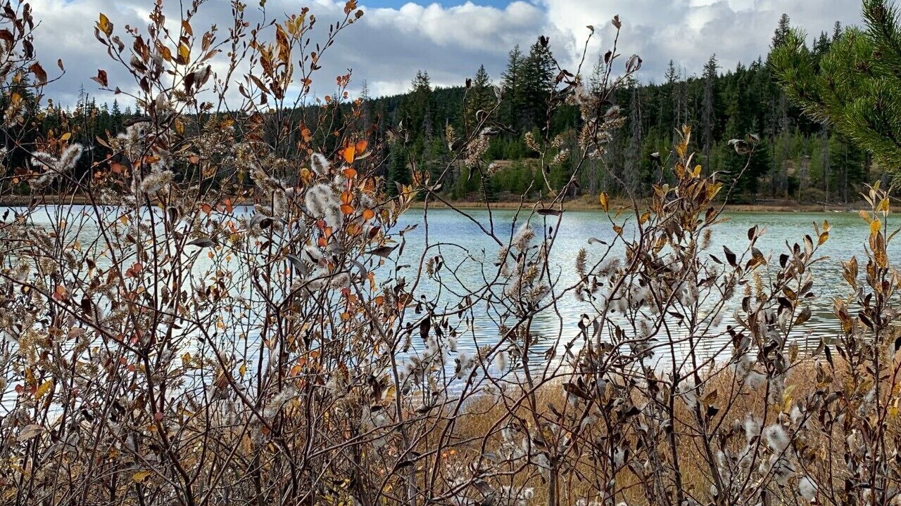 Photo of Others in Lac Le Jeune