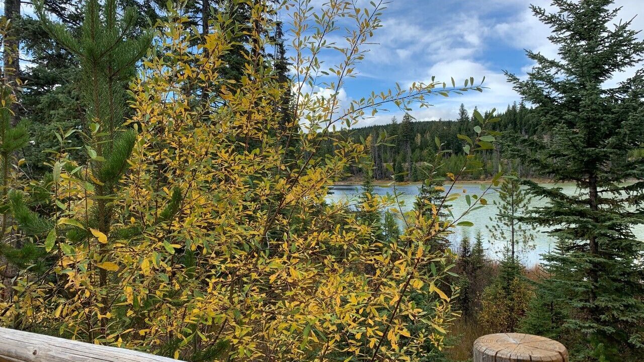 Photo of Others in Lac Le Jeune