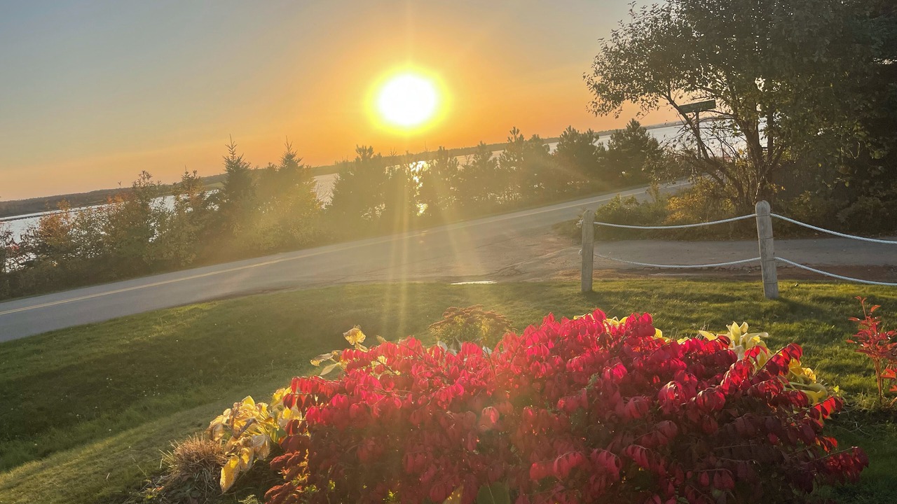 Photo of Outdoor in Anne's Land