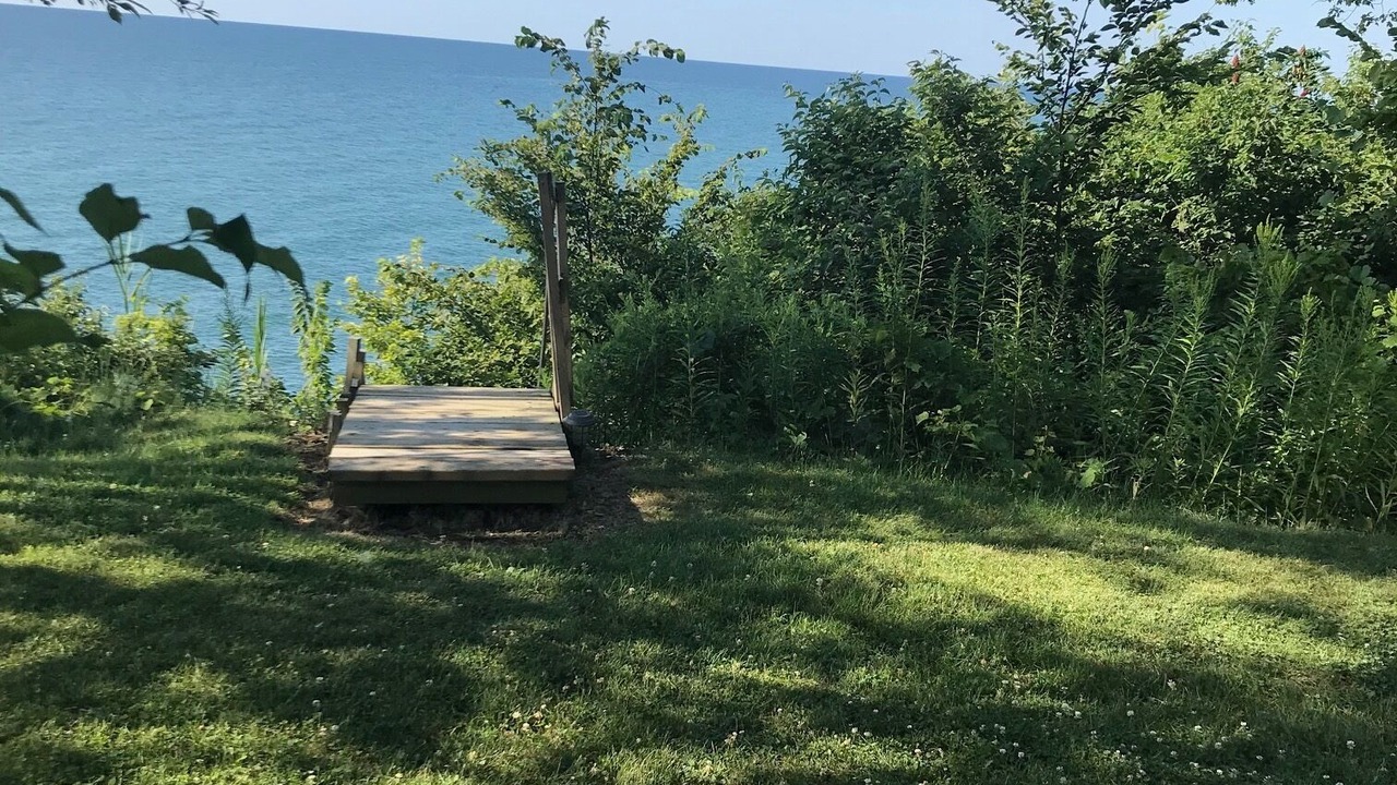 Photo of Outdoor in Romney