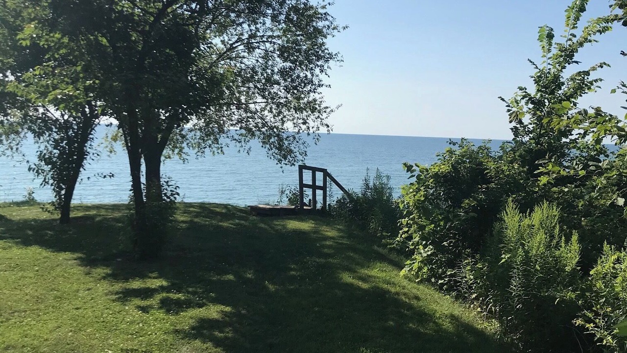 Photo of Outdoor in Romney