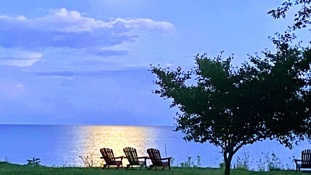 Photo of Outdoor in Romney