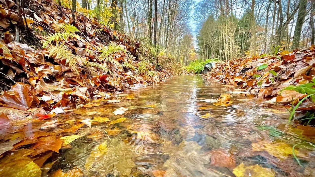 Photo of Others in Lake of Bays