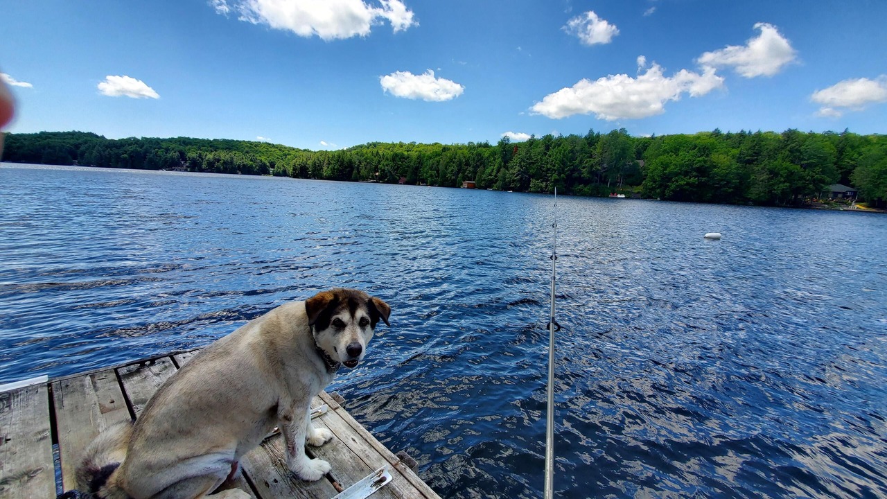 Photo of Others in Lake of Bays