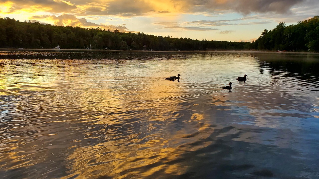 Photo of Others in Lake of Bays