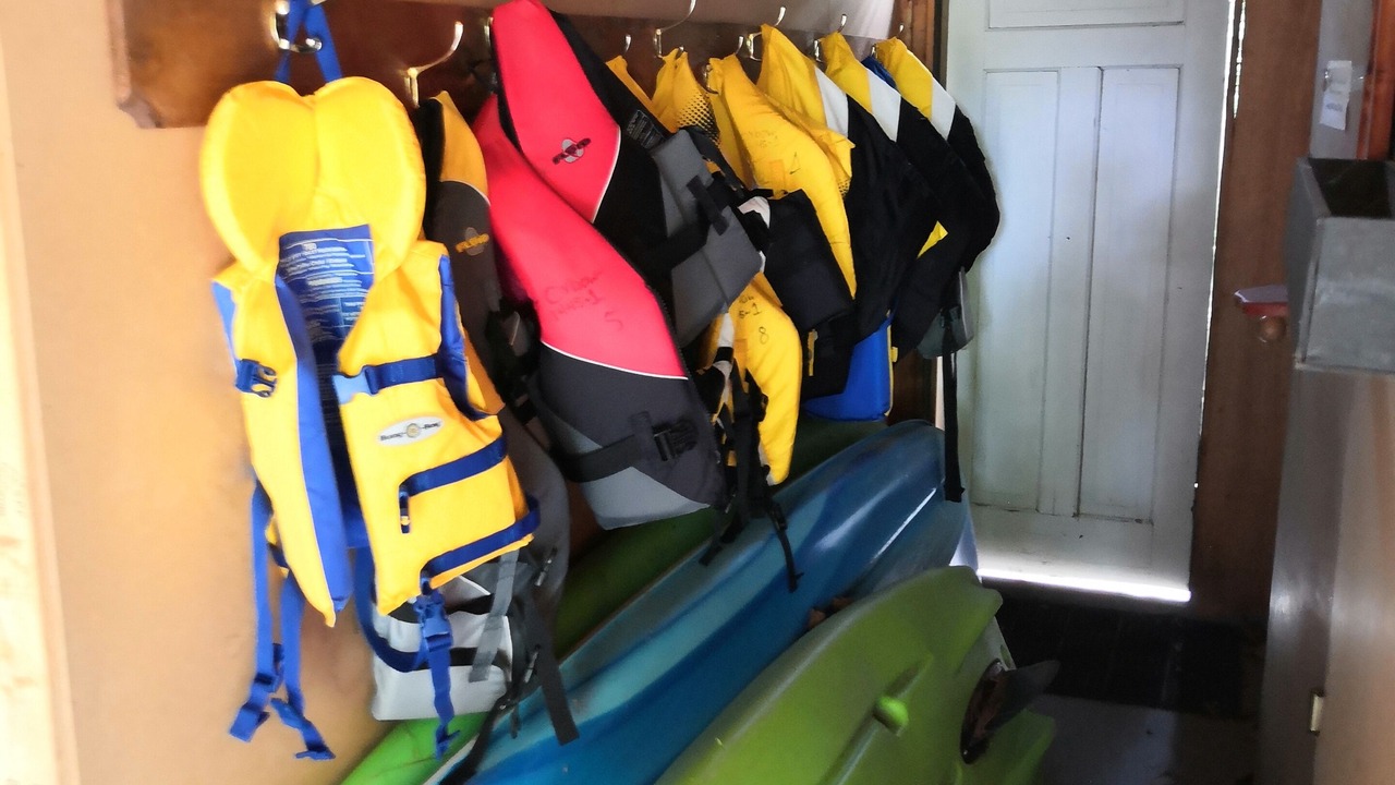 Photo of Others in Lake of Bays
