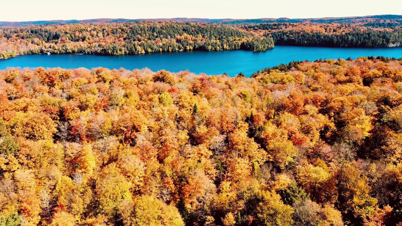 Photo of Others in Lake of Bays