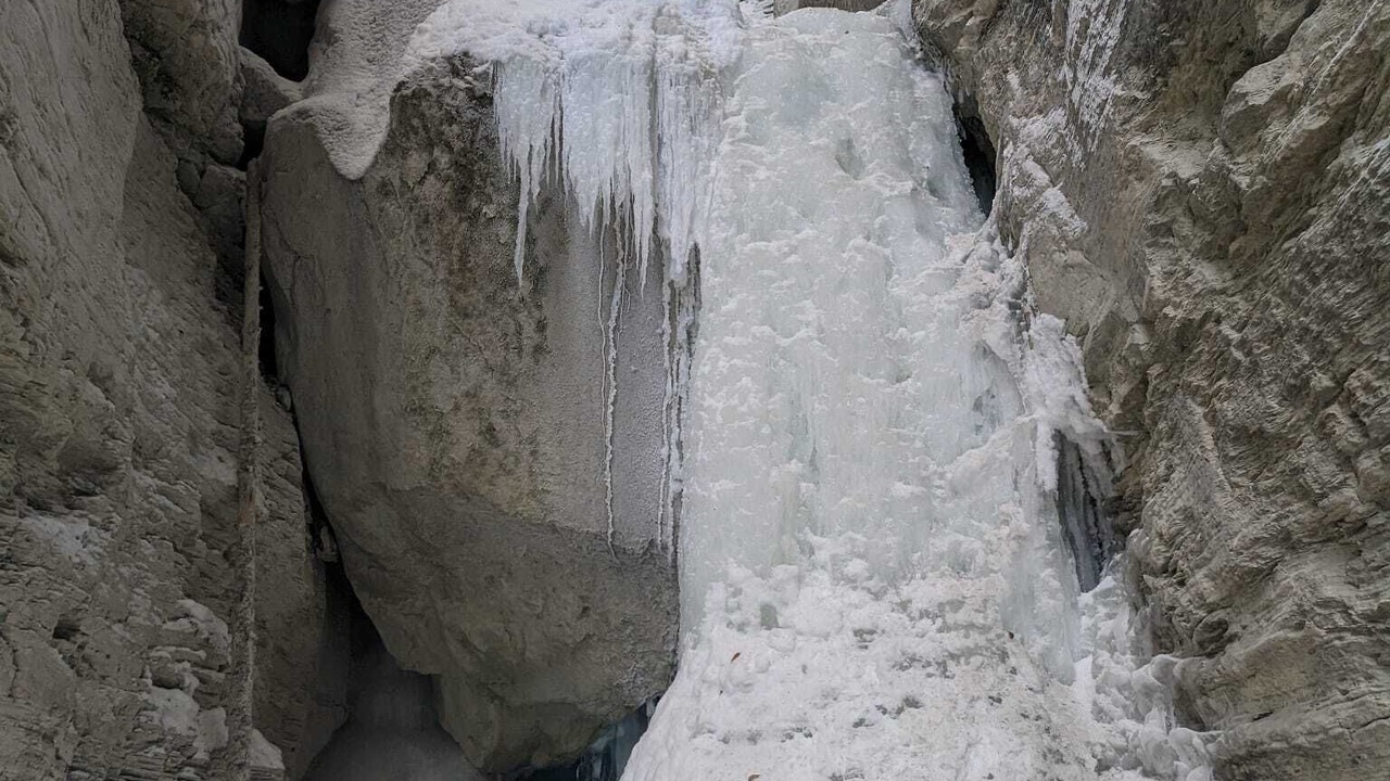 Photo of Others in Blaeberry