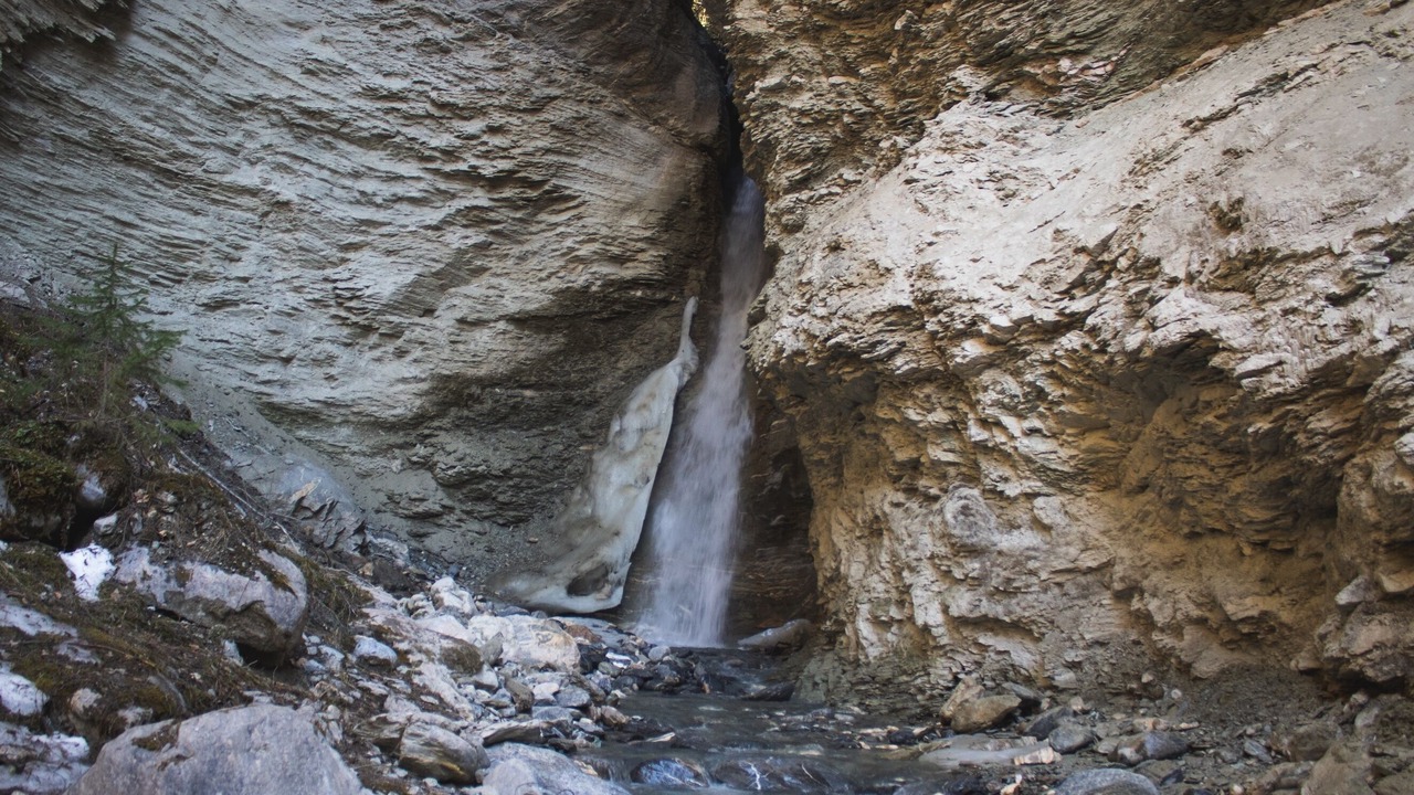 Photo of Others in Blaeberry