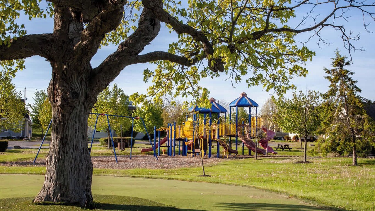 Photo of Others in Cherry Valley