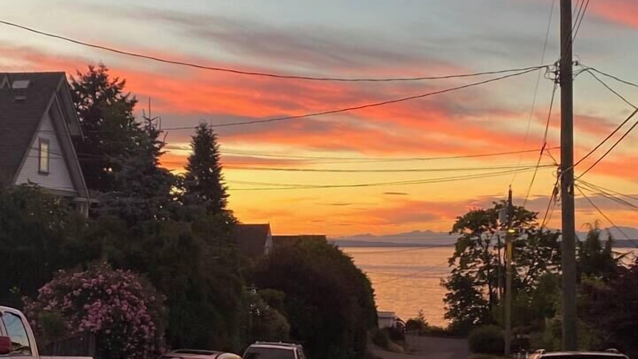 Photo of Others in Chemainus