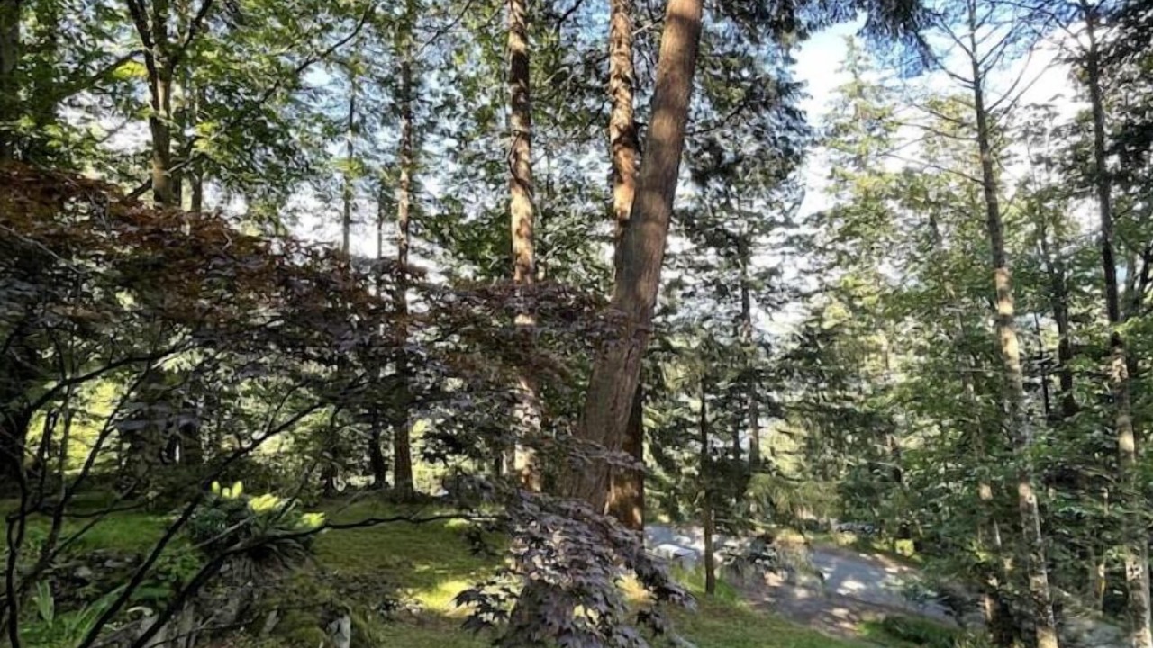 Photo of Others in Bowen Island