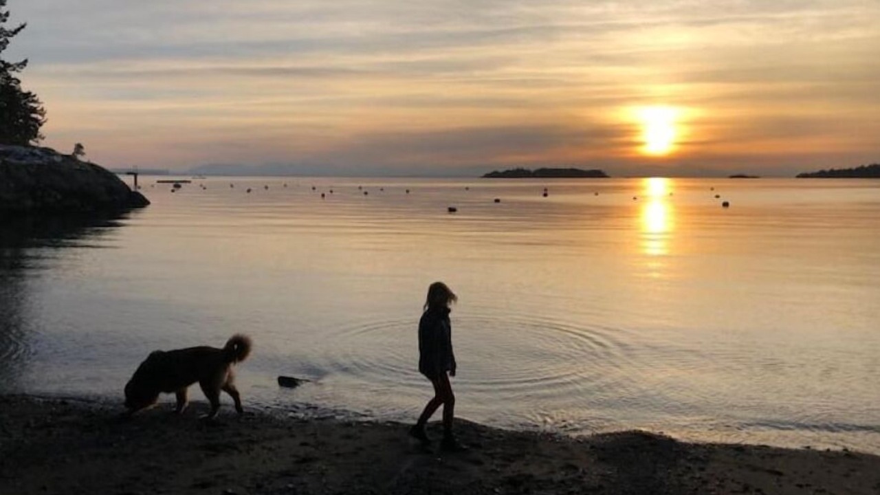 Photo of Others in Bowen Island
