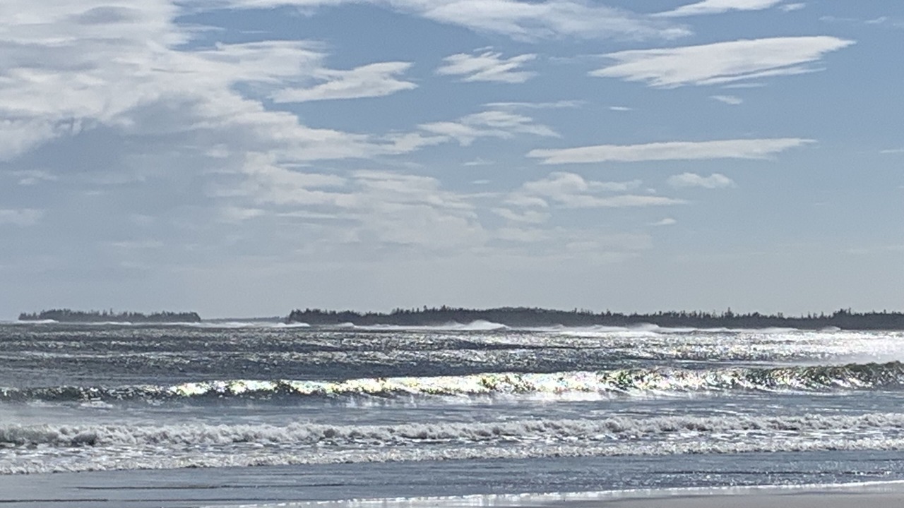 Photo of Others in Lunenburg County