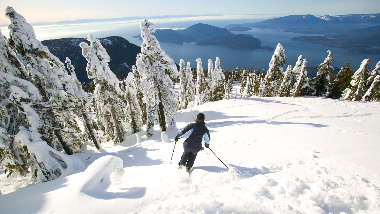 Photo of Others in West Vancouver