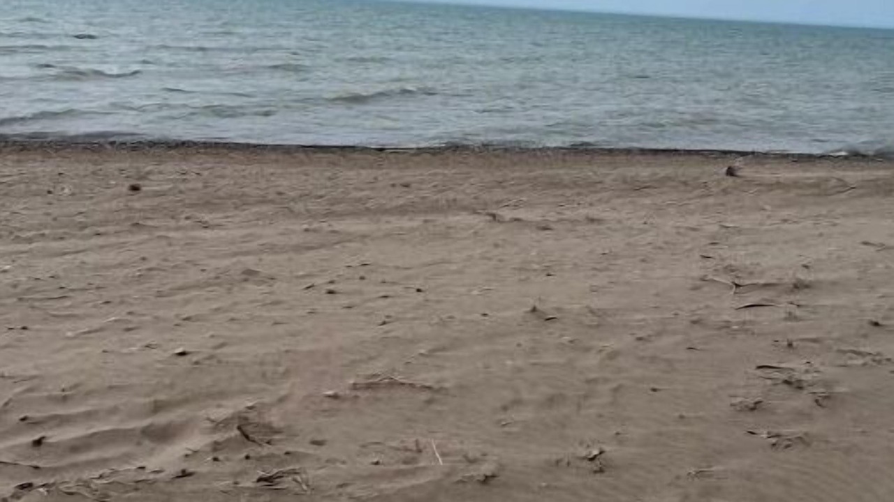 Photo of Others in Central Huron