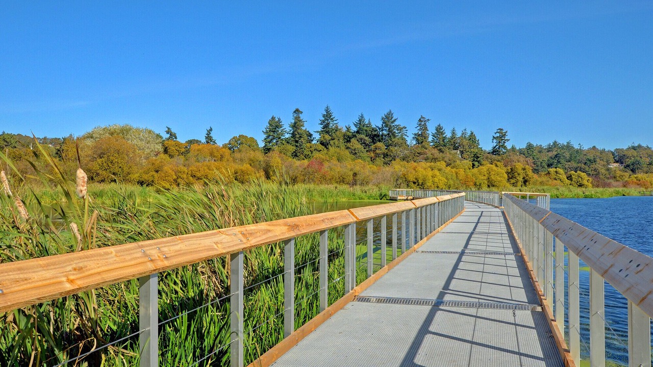 Photo of Others in Saanich East