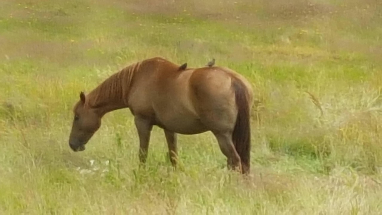 Photo of Others in Yellow Point