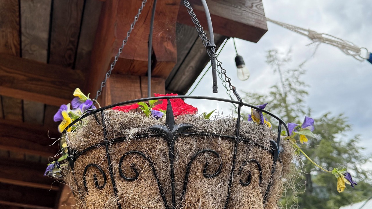Photo of Outdoor in Rossland