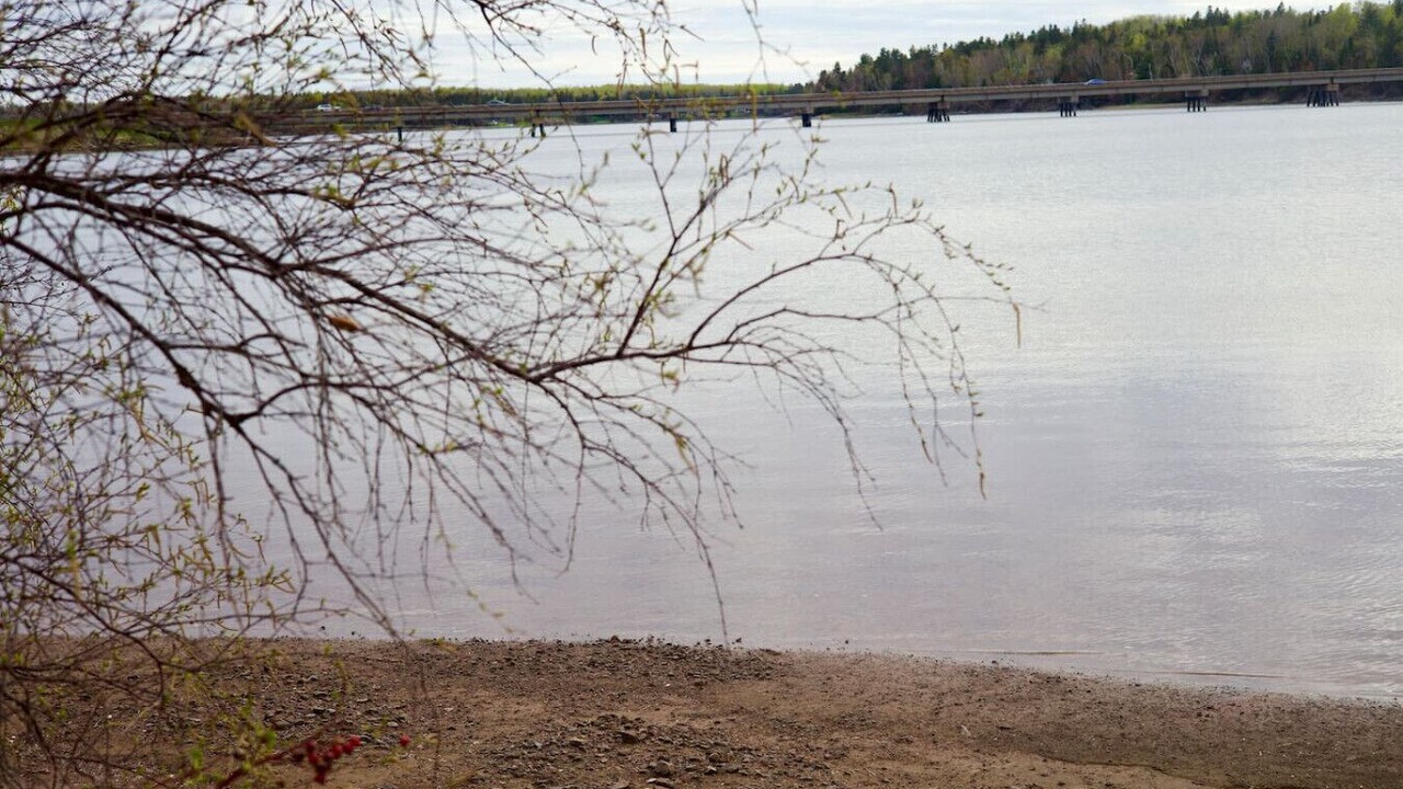Photo of Others in Sainte-Anne-de-Kent