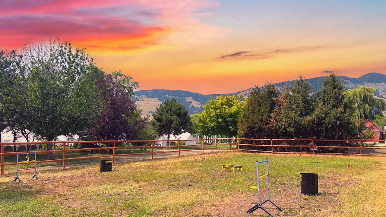 Photo of Others in North Okanagan
