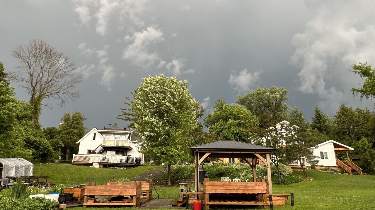 Photo of Others in Waubaushene