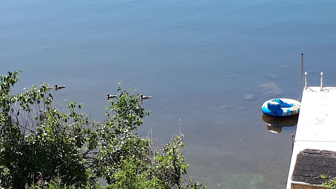 Photo of Others in Vanderhoof