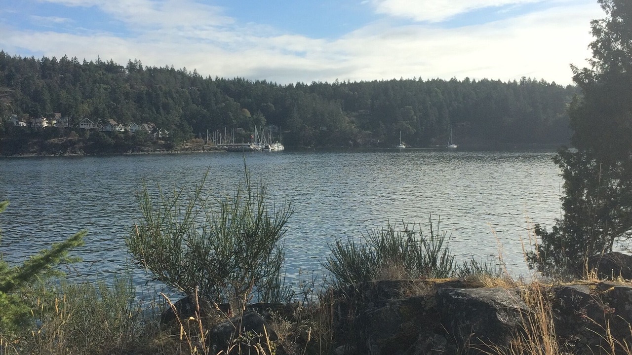 Photo of Others in Pender Island