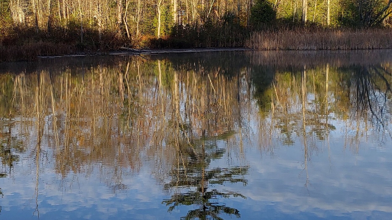 Photo of Others in Washago
