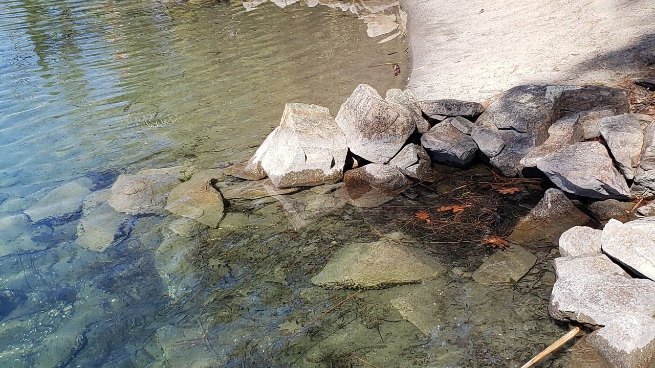 Photo of Others in Washago