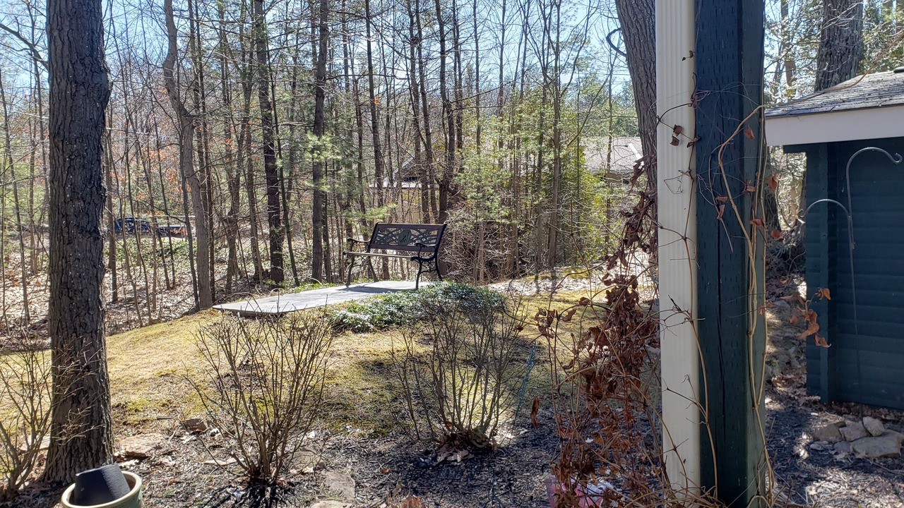Photo of Outdoor in Washago