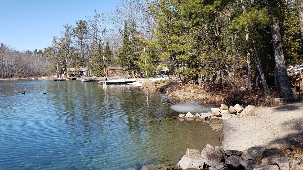 Photo of Others in Washago