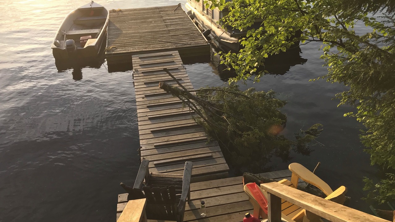 Photo of Outdoor in Algonquin Highlands