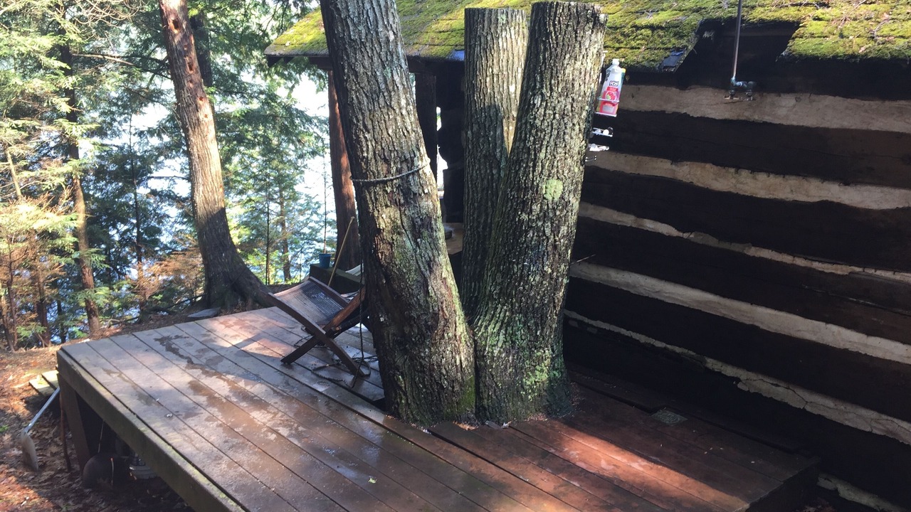 Photo of Outdoor in Algonquin Highlands