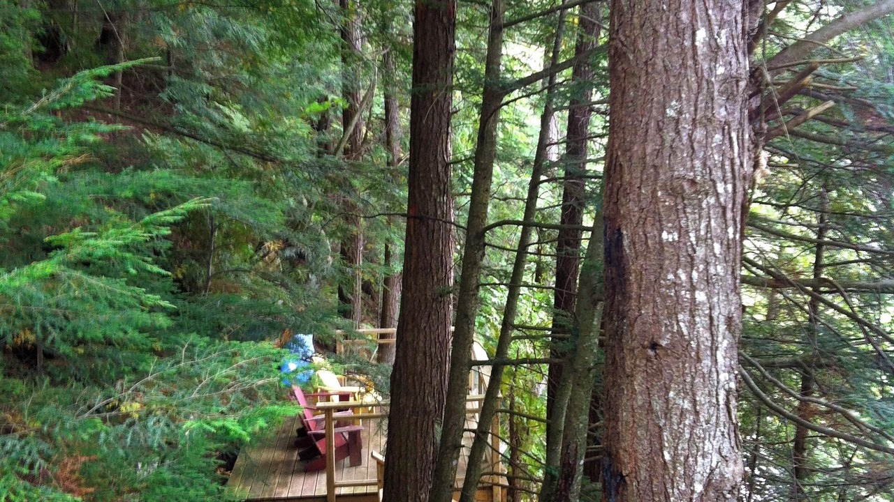 Photo of Patio Balcony in Algonquin Highlands