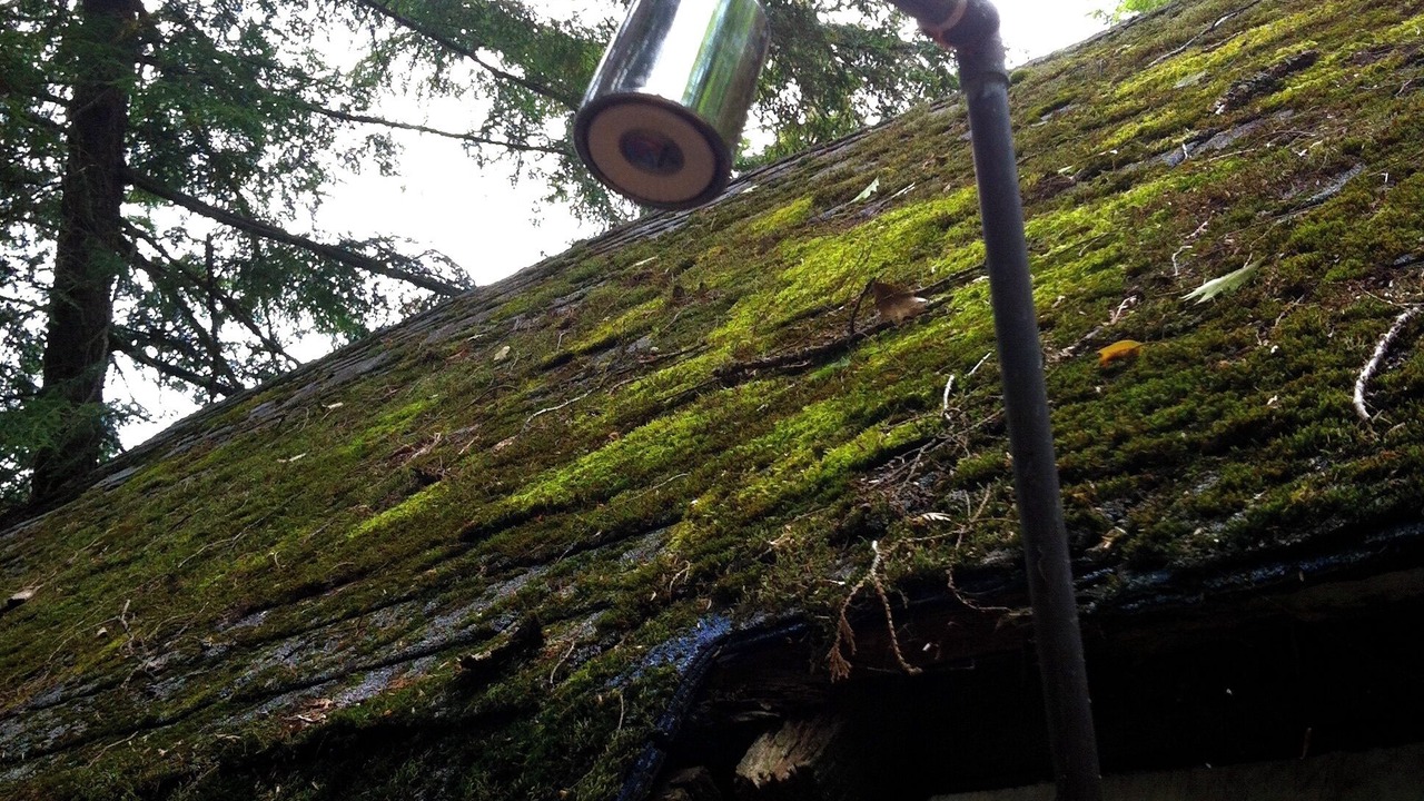 Photo of Others in Algonquin Highlands